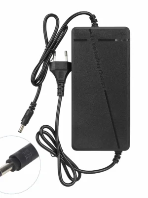 Cargador rápido de 48 V a 54,6 V 5 A con conector DC 2,1 y enchufe UE