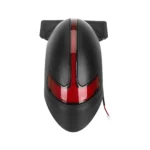 Guardabarros trasero DUALTRON POP (con luz trasera)