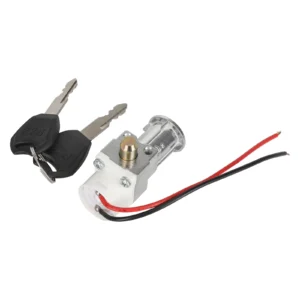 Cerradura de puerta eléctrica plateada con llaves