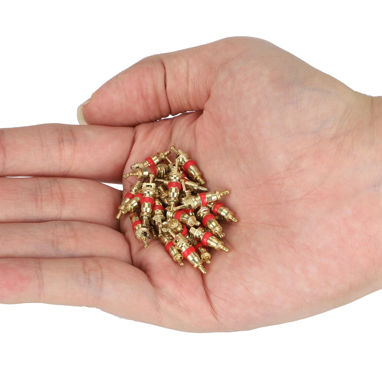 Juego de 62 insertos de válvula + herramienta de extracción + llave - Imagen 5