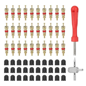 Juego de 62 insertos de válvula + herramienta de extracción + llave