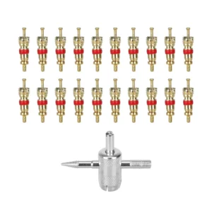 20 núcleos de válvulas + herramientas de extracción