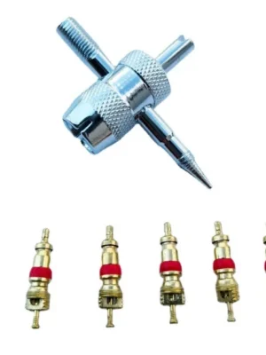 5 núcleos de válvulas + herramientas de extracción