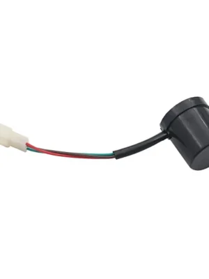 Intermitente Citycoco de 12 V