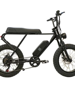 Fat ebike eléctrica M20X negra 20" con frenos de disco