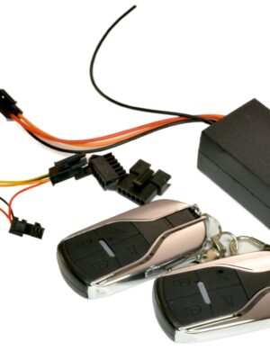 RiuScooter Alarma Antirrobo Universal Conector 6 Pines 36-55V, 2 Mandos a Distancia, Negro Mi4