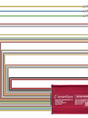 48V 23A 800W original Smartgyro homologado Speedway PRO / Rockway PRO