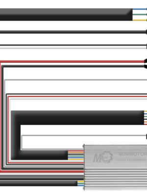 Controladora 48V 25A Dualtron Togo [Original]