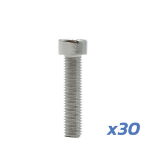 TORNILLO LLANTA DUALTRON MINI 30 UNDS