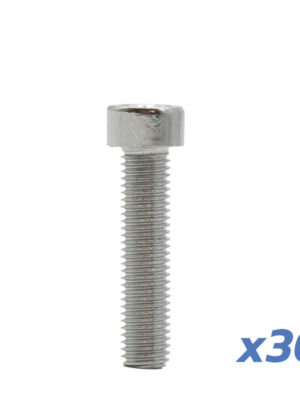 TORNILLO LLANTA DUALTRON MINI 30 UNDS