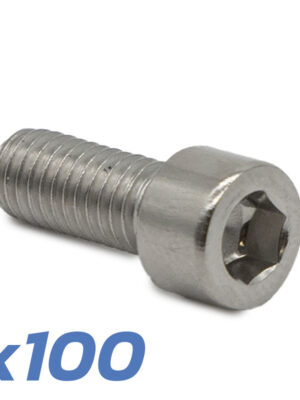 Tornillos guardabarro Dualtron 100 uds