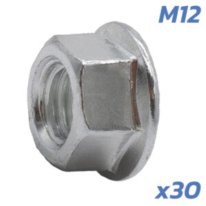 TUERCAS EJE MOTOR DUALTRON M12 - 30 UNDS