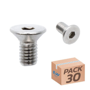 Tornillos bisagra dualtron inox 10 Uds