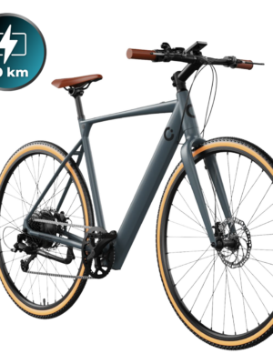 Bicicletas eléctricas Sprint Silver E-bike