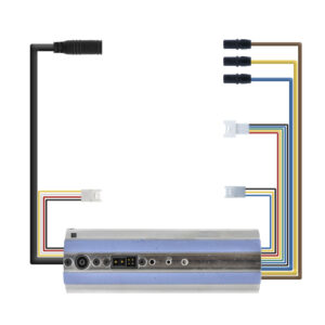 Controladora 36V 300W Ninebot E22 [Ninebot]