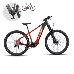 ROKTAR Plus ebike MTB