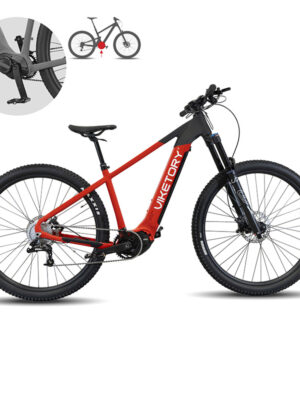 ROKTAR Plus ebike MTB
