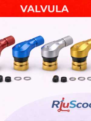 VALVULA