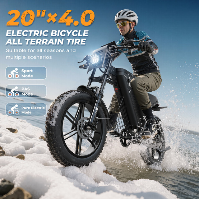 Bicicleta eléctrica Fat Bike de 20 pulgadas para adultos con batería de 48 V 31,5 Ah, autonomía de 87 millas, suspensión y luces de giro. - Imagen 5